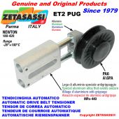 Tensor de correa (casquillos ptfe)