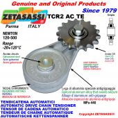 Arm chain tensioner