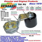 Rotary arm belt tensioner