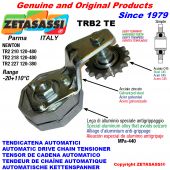 Rotary arm chain tensioner